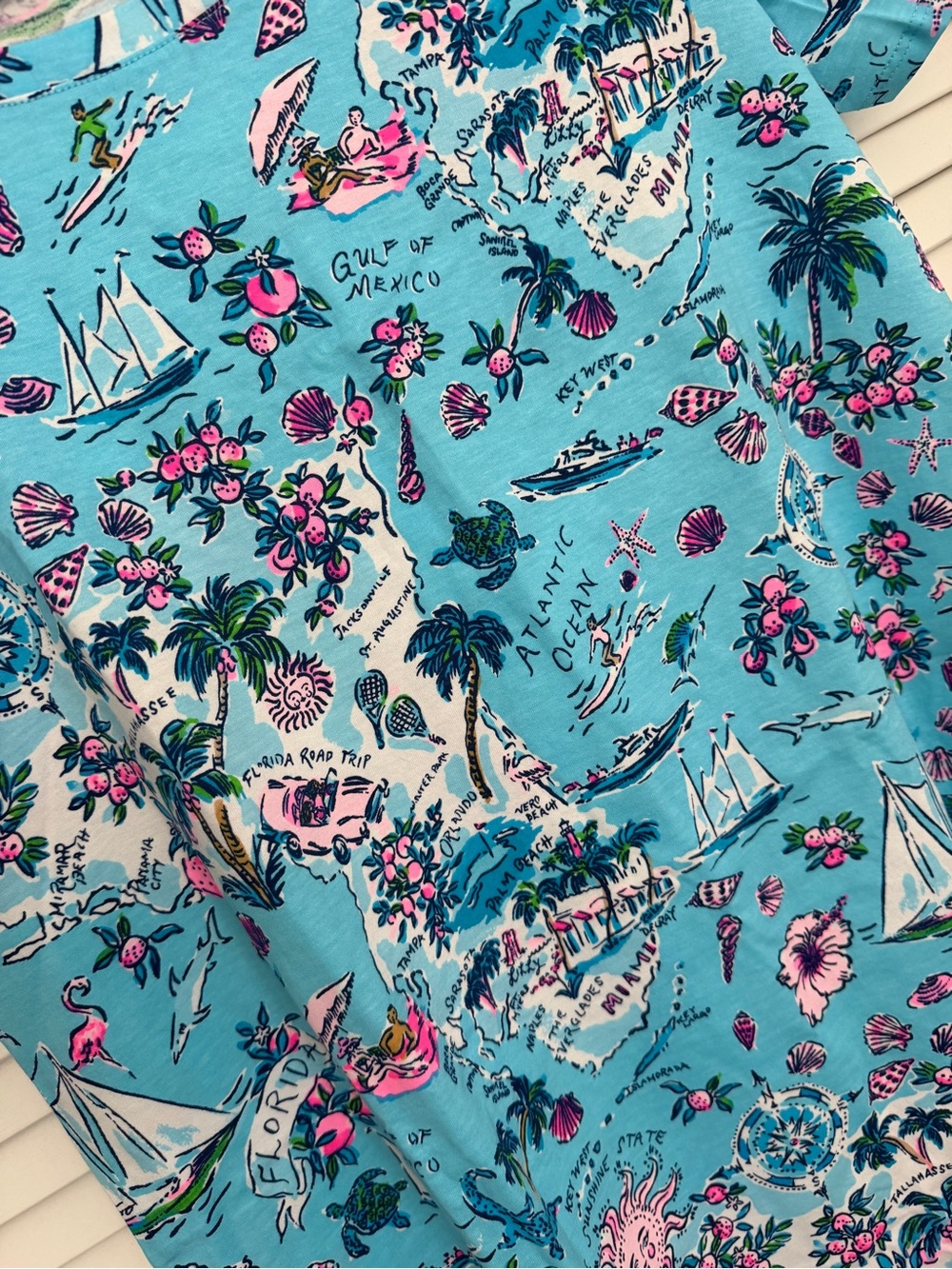Lilly Pulitzer Amalfi Blue Lillys Roadtrip Print T-Shirt Dress Size L - Picture 3 of 5